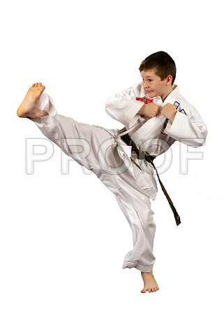 fidlerKolt3_WhiteBG