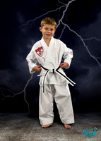 shankelLandon2