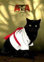 Annabelle_5x7