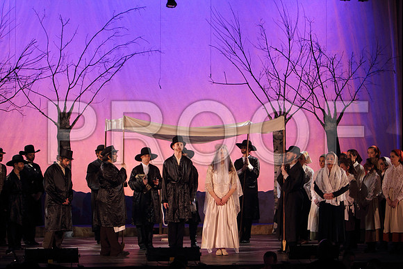 FiddlerRHS_074