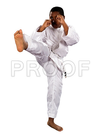 greenTerrance1_WhiteBG