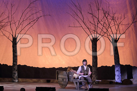 FiddlerRHS_012