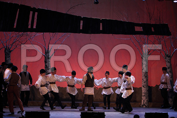FiddlerRHS_031