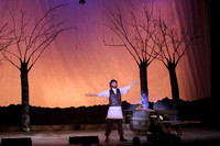FiddlerRHS_019