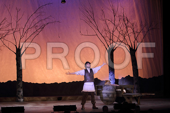 FiddlerRHS_019
