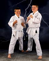 borgenFamily1_8x10