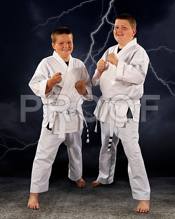 borgenFamily1_8x10