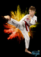 riexingerSullivan2