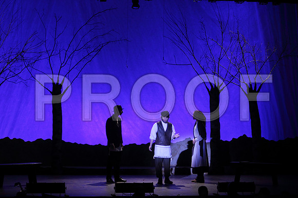 FiddlerRHS_049