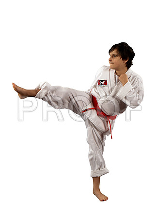 knechtJasmine2_whiteBG