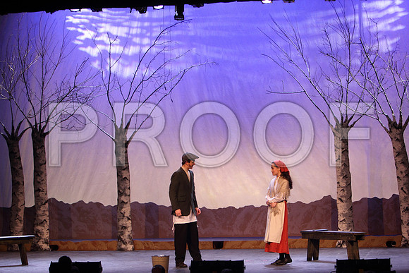 FiddlerRHS_042