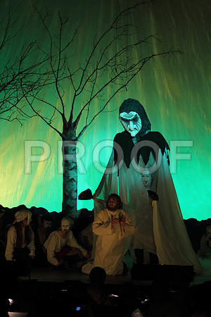 FiddlerRHS_057