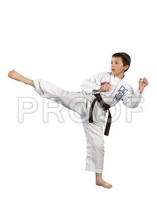 harrisConnor2_WhiteBG