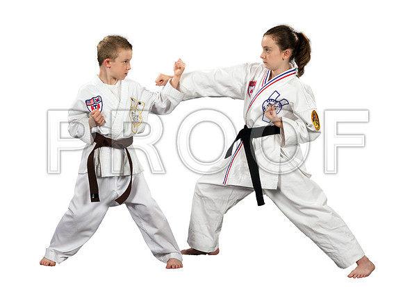 huffmanFamily3_whiteBG