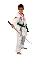 blevinsRaiden1_whiteBG