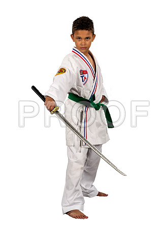 blevinsRaiden1_whiteBG