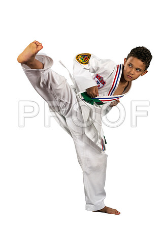 blevinsRaiden2_whiteBG