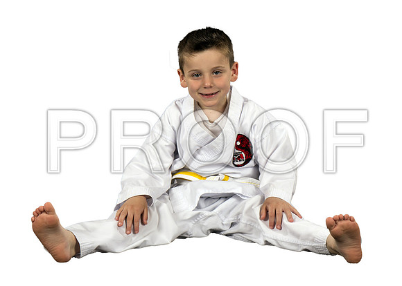 hamiltonCaden2_WhiteBG
