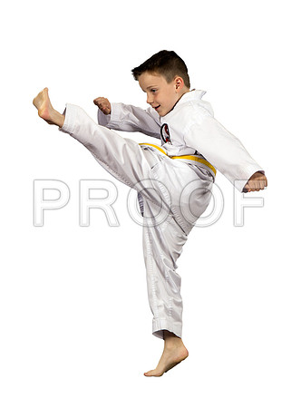 hamiltonCaden3_WhiteBG
