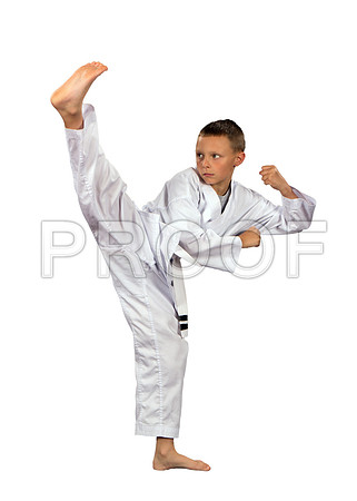 brownAiden2_WhiteBG