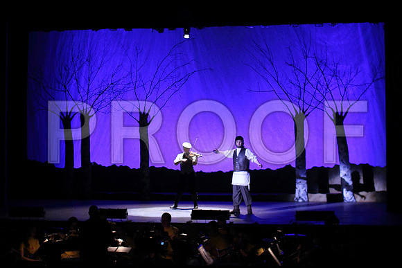 FiddlerRHS_002