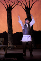 FiddlerRHS_015
