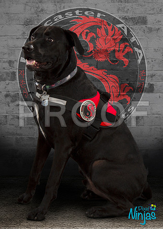 pooleFenrir1