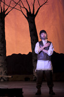 FiddlerRHS_014